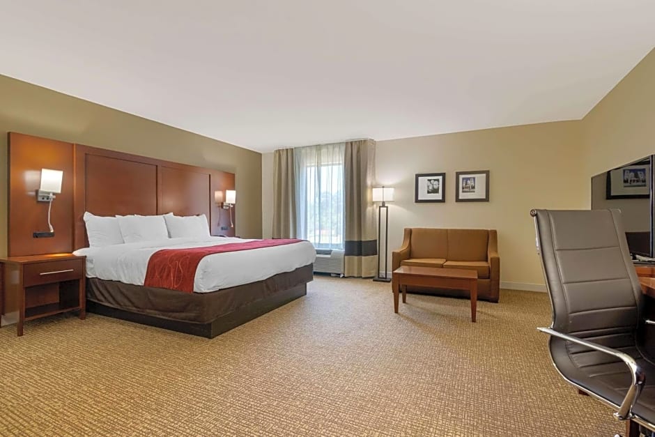 Comfort Inn & Suites Macon West