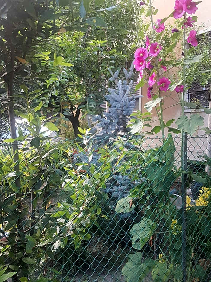 3B Locazione Turistica