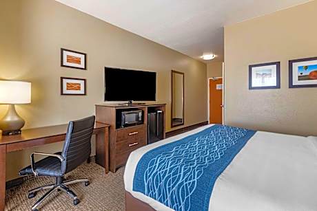 1 Queen Bed Nonsmoking