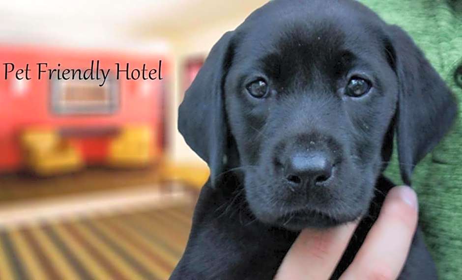 Extended Stay Cary