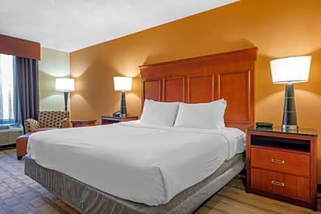 King Room with Mobility Accessible Roll-In Shower