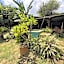 Sabie Gypsy's Backpackers