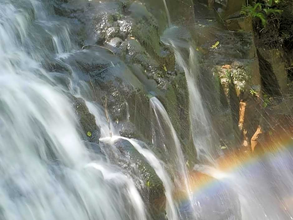 Forest Creek Lodge And Spa