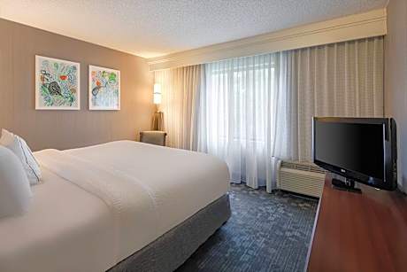 King Suite with Sofa Bed