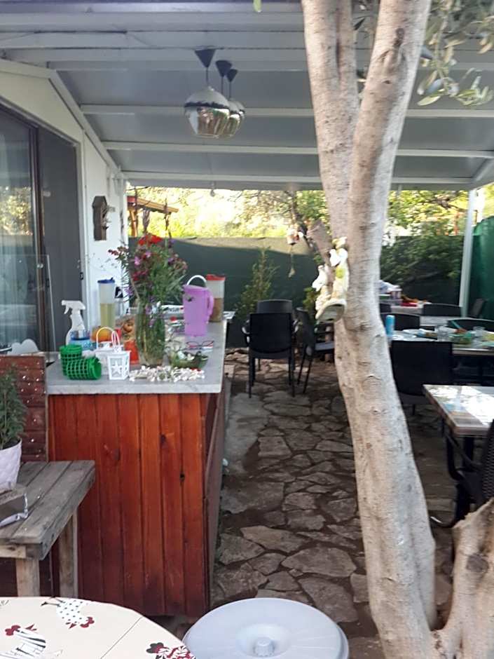 KUŞ YUVASI PANSiYON