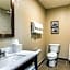 Comfort Inn Detroit Downtown