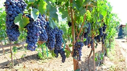 Holiday Inn Express San Diego - Rancho Bernardo, an IHG Hotel