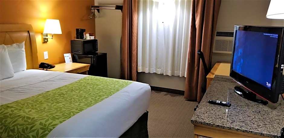 1 Queen Bed — 3 fotoğraftan 1. fotoğraf