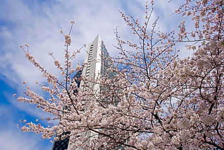 ANA InterContinental Tokyo By IHG