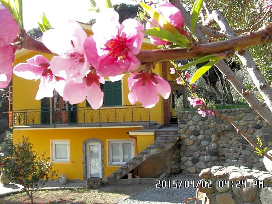 Agriturismo Costa di Campo