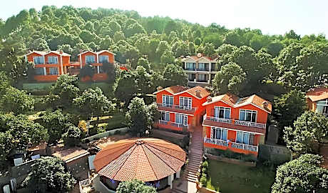 Essence of Nature, Ranikhet