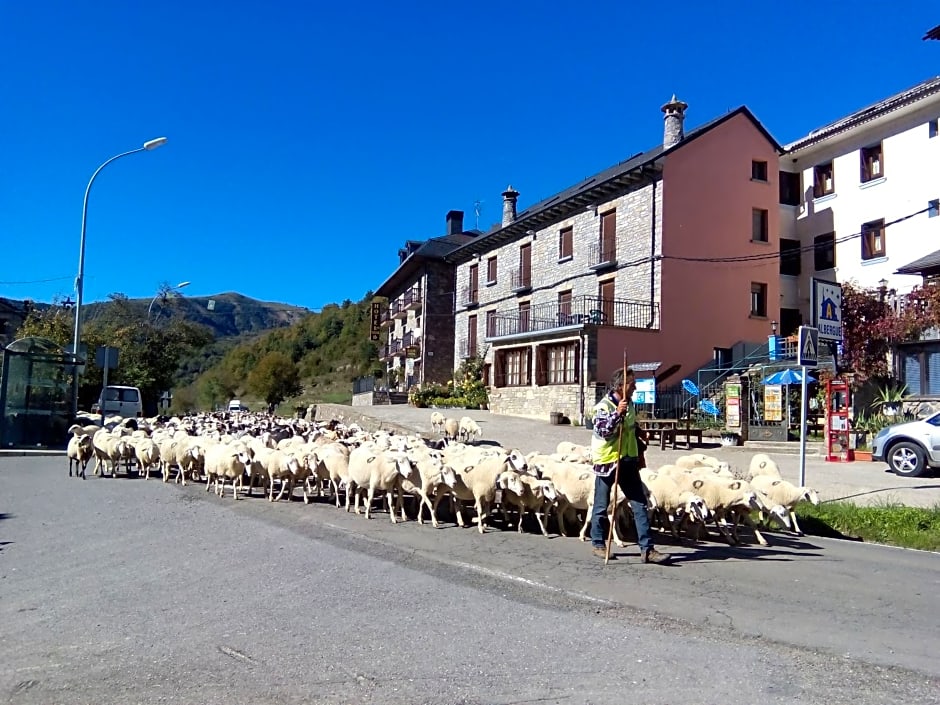 Albergue El Último Bucardo