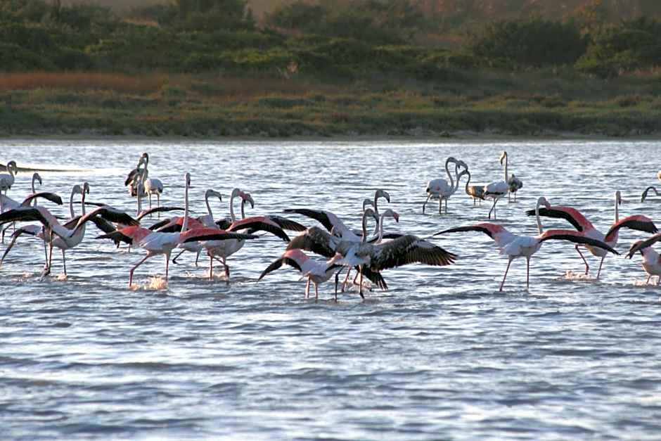 Albergo Residenziale Menhirs