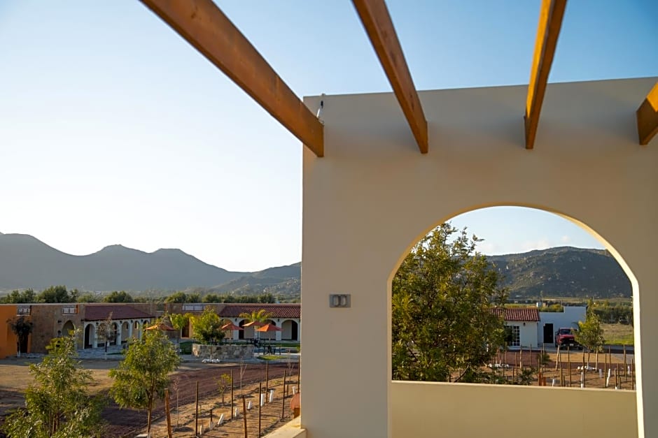 Hacienda Los Olivos, Valle de Guadalupe