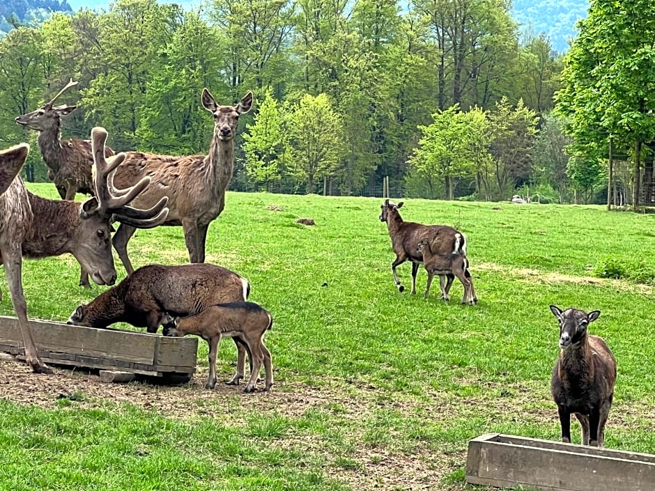 Landhotel Heimathenhof