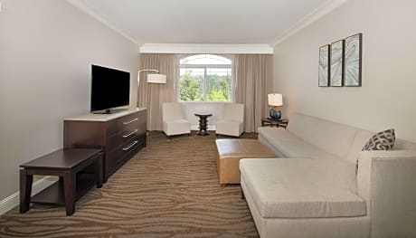 1 King 1 Bedroom Suite Hearing Accessible Vis Firealrm/door/phn Alrt - Cmp Wifi/parking Mp3 Clock Ra