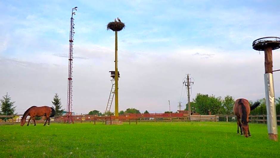 Agroturystyka Klekusiowo