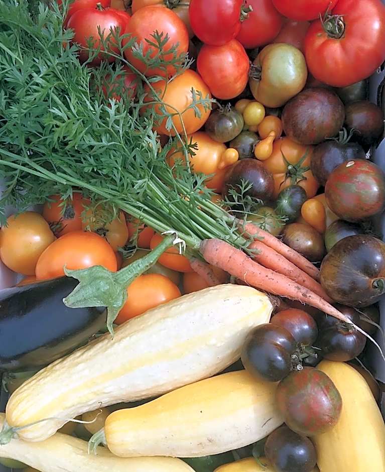 Harlem Stonegate B&B