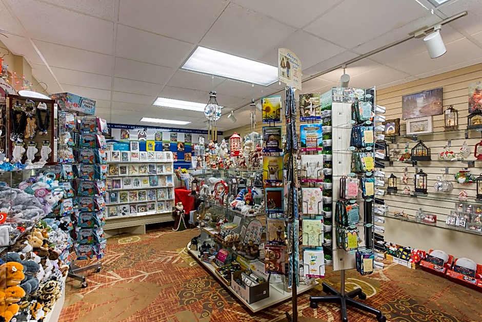 Comfort Inn & Suites Branson Meadows