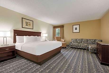 Premier King Room, Non-Smoking