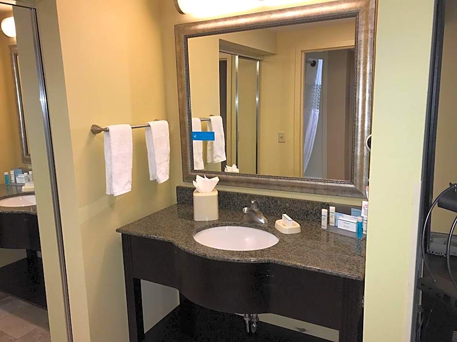 Hampton Inn By Hilton & Suites Austin