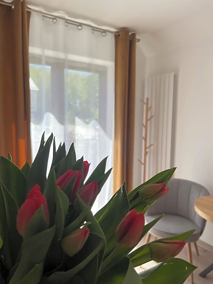 Karkonoskie Widoki Apartamenty