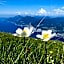 Hotel Monte Baldo