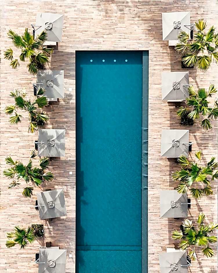 The Funny Lion - Puerto Princesa