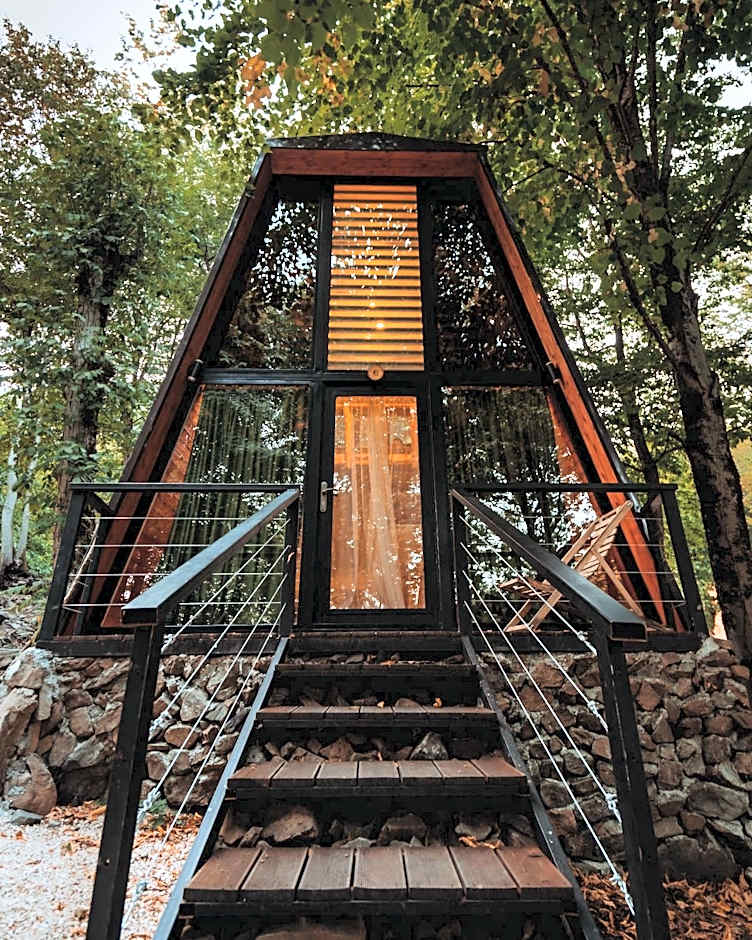 Eco Village In The Forest