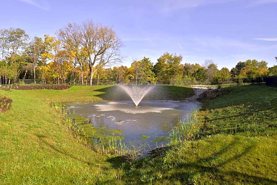 Hampton Inn By Hilton & Suites Ann Arbor West