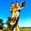 Morakane Safari Lodge