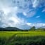 Bambuh Boutique Homestay - Adult Only