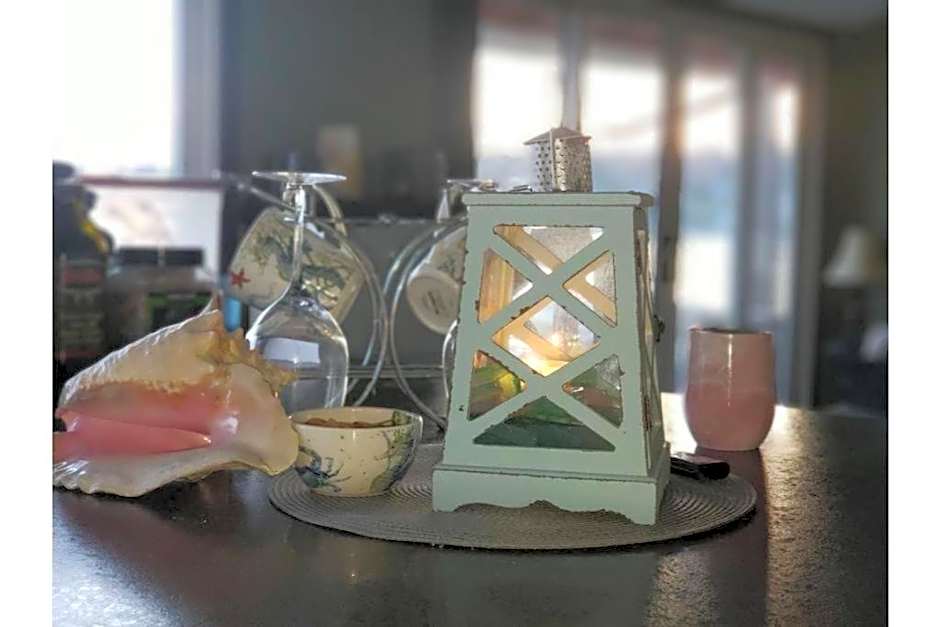 West Lake Waterfront Swimming - Free Pontoon Boat!