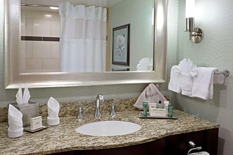 2 Queen Hearing Accessible