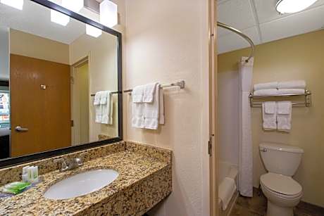 One-Bedroom King Suite - Non-Smoking