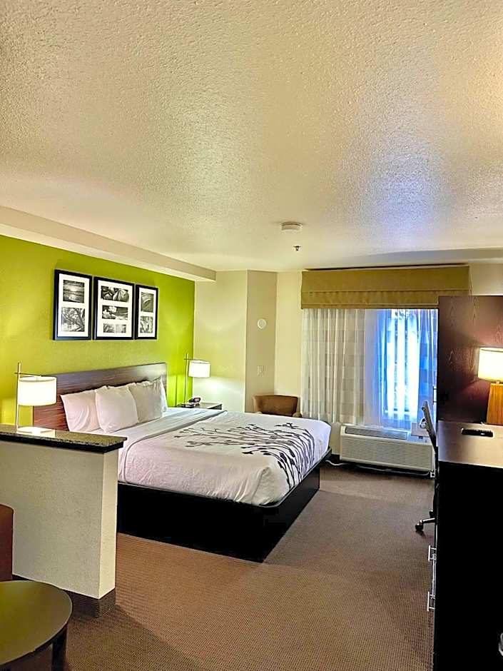 Sleep Inn And Suites Central / I-44