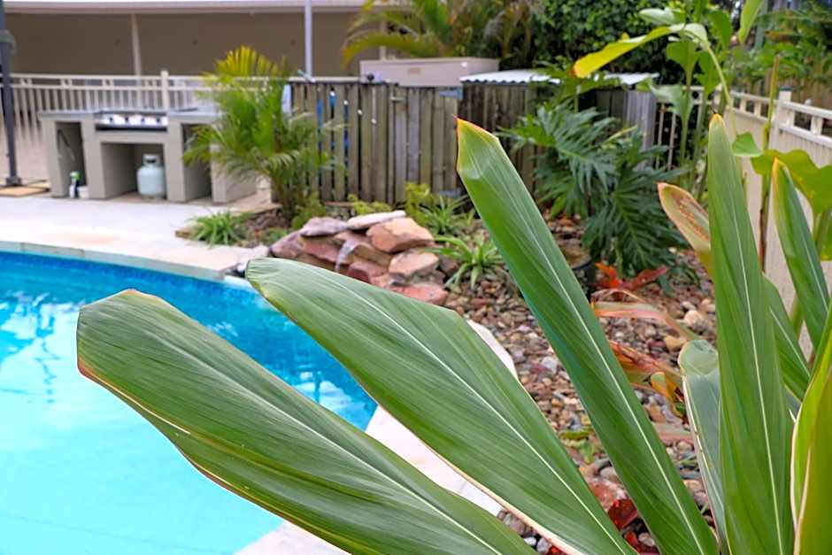 Noosa River Palms