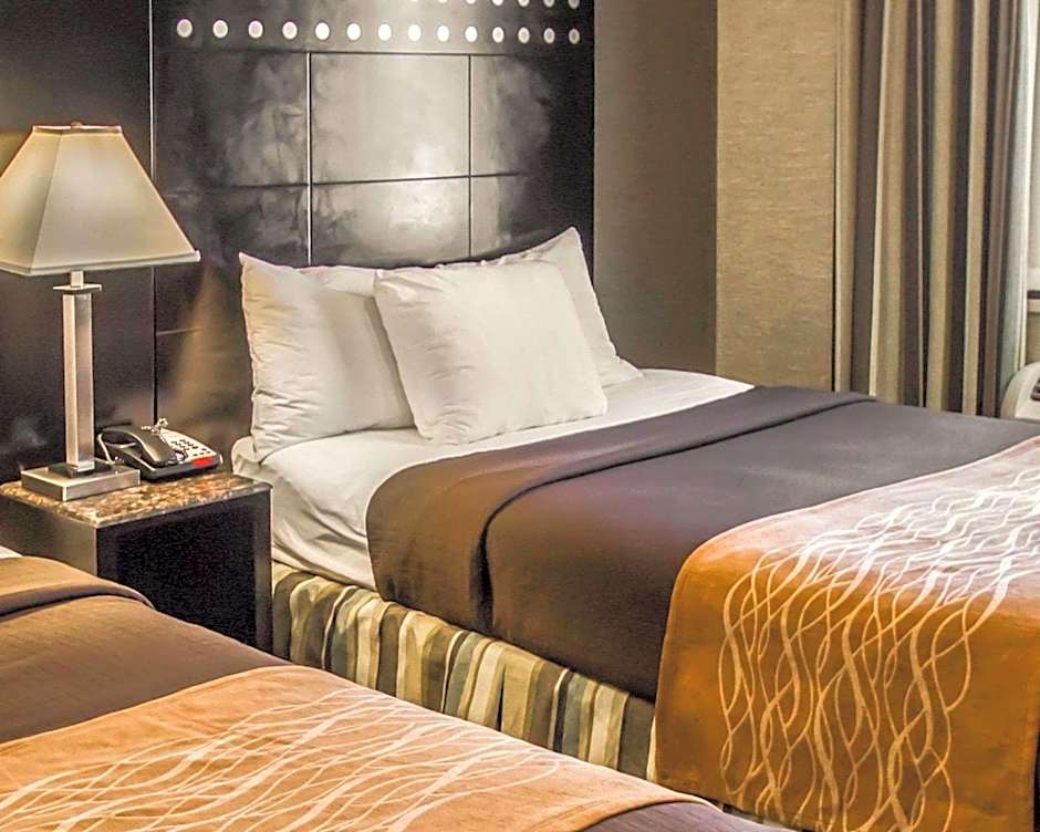 Rodeway Inn Bronx Zoo