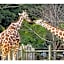 Kokura Recent Hotel - Vacation STAY 61113v
