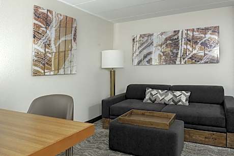 Studio, 1 King Bed with Sofa bed (1 King Bed and 1 Double Sofa Bed)