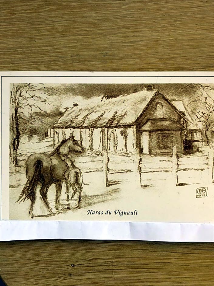 haras du Vignault Le Bûcher