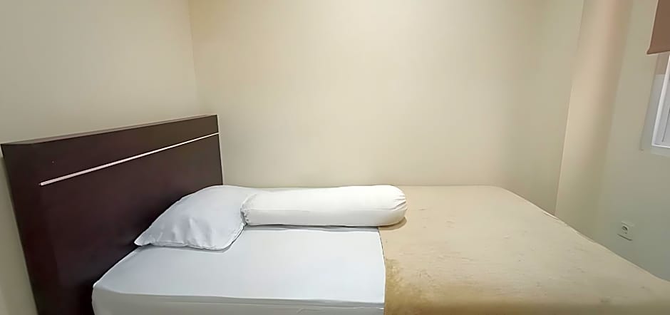 giant kost