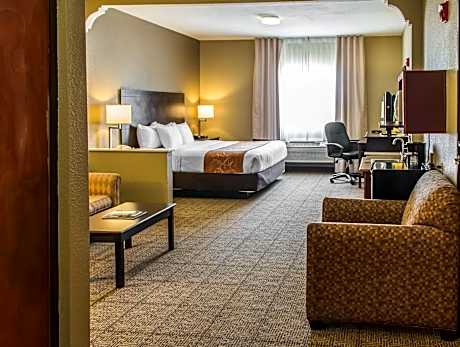 1 Bedroom King Suite