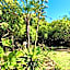 The Little Hideaway Guesthouse