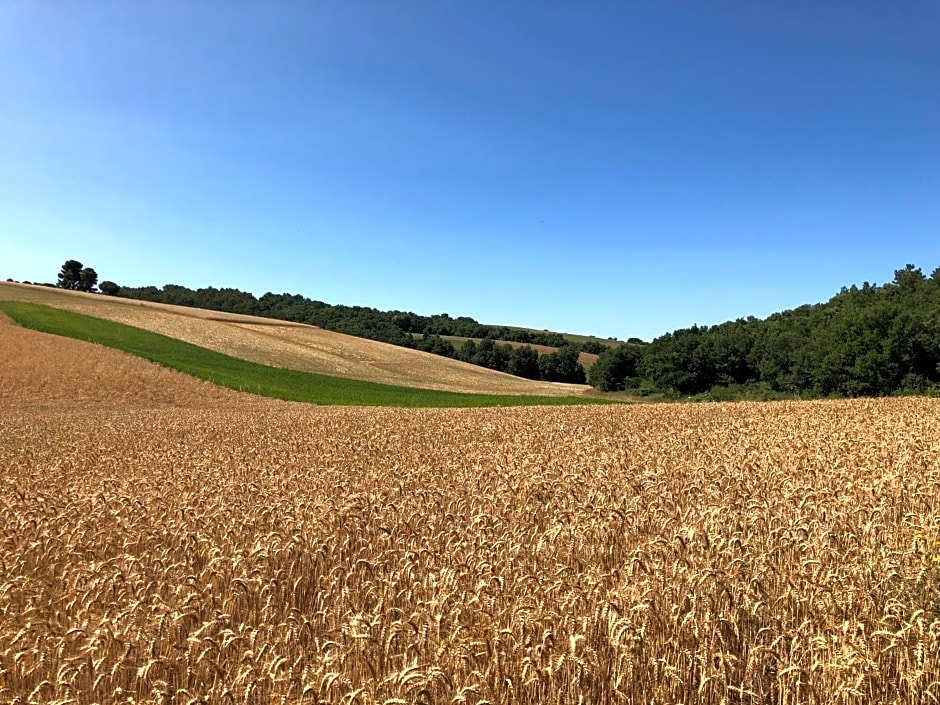 Chambre hôtes Les Garrigues CUCURON