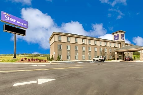 Sleep Inn & Suites Jasper I-22