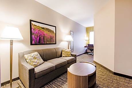 One-Bedroom Suite One King Bed Non-Smoking