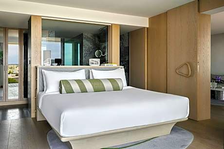 W Penthouse 3 Bedrooms, Larger Apartment, Ocean view, Balcony, Plunge pool, Roof Top Terrace