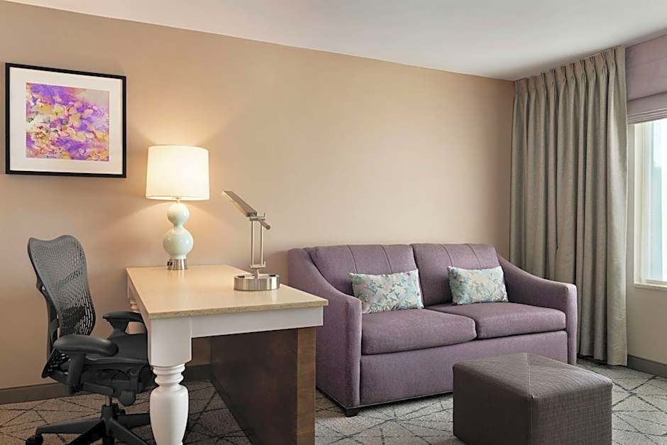 Hilton Garden Inn Springfield