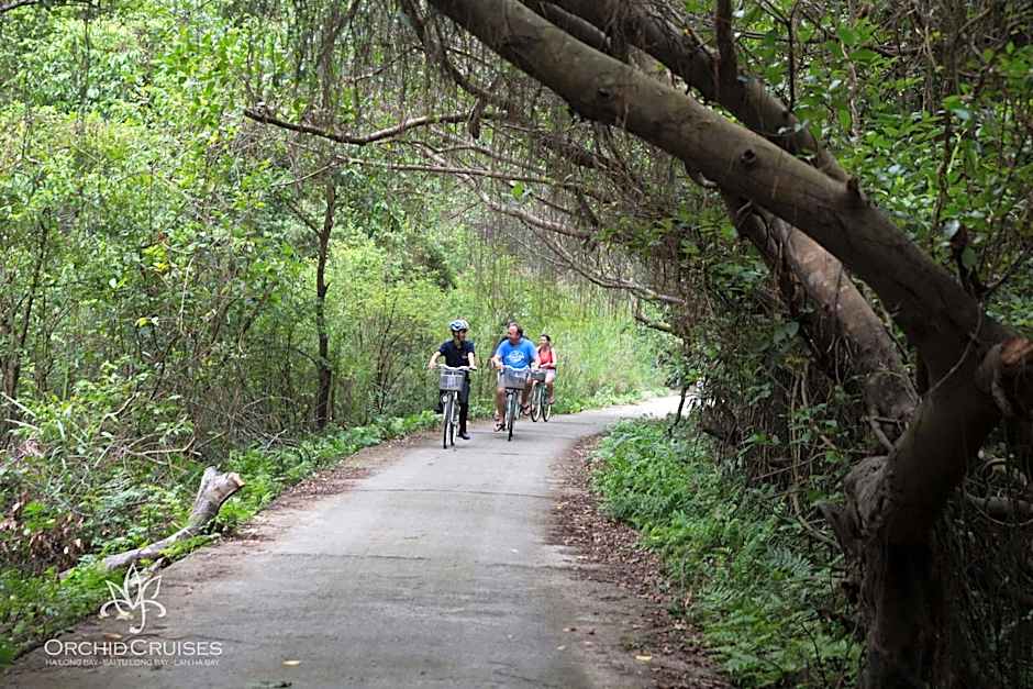 Orchid Classic Cruise